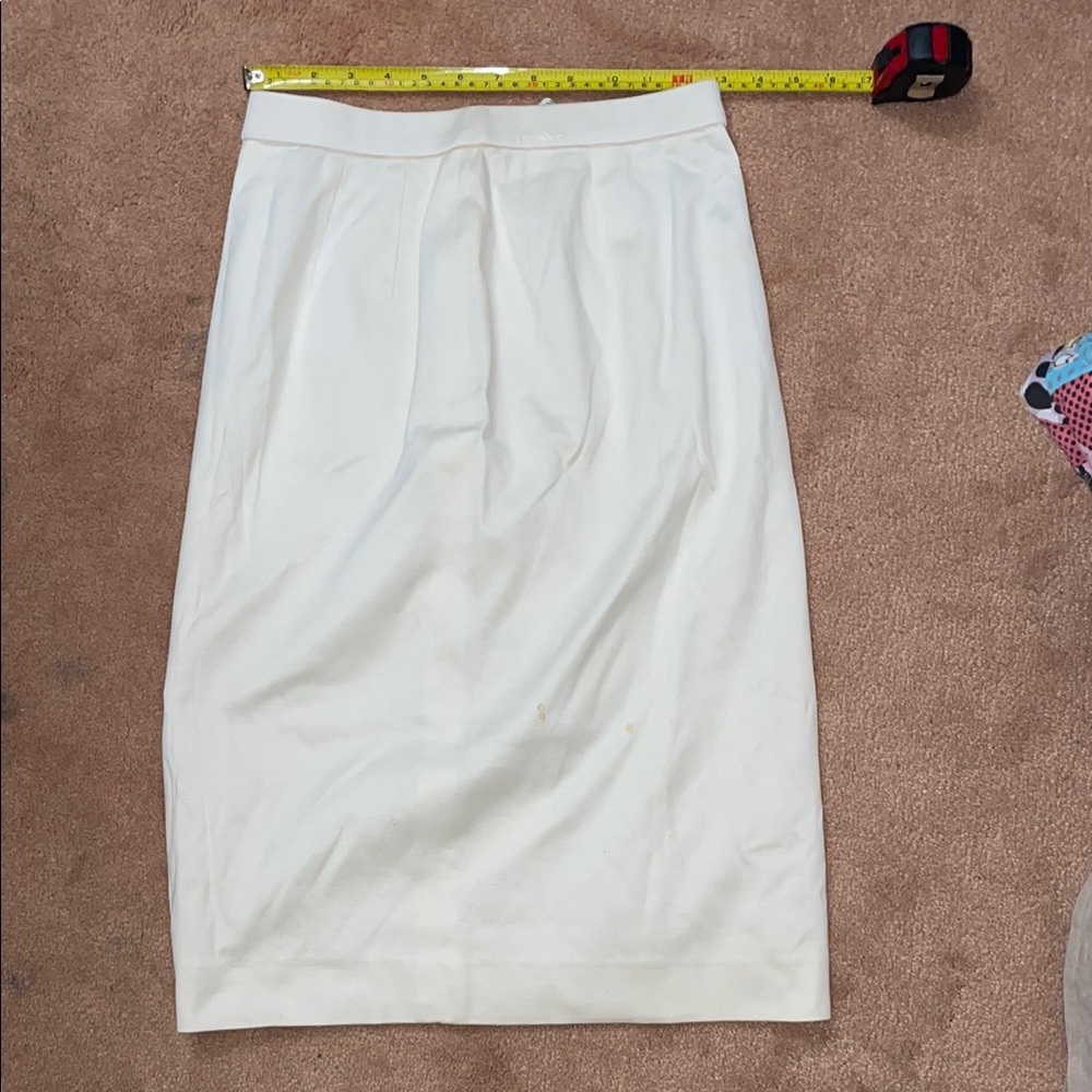 Leonard Paris Elegant Skirt (PLUS bonus black skirt!)